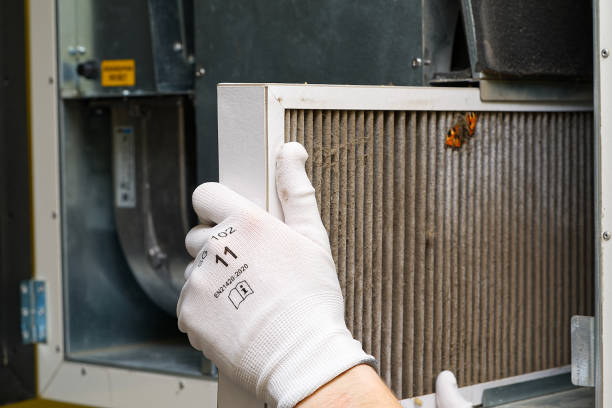 Best Commercial Air Duct Cleaning  in Mmaduke, AR