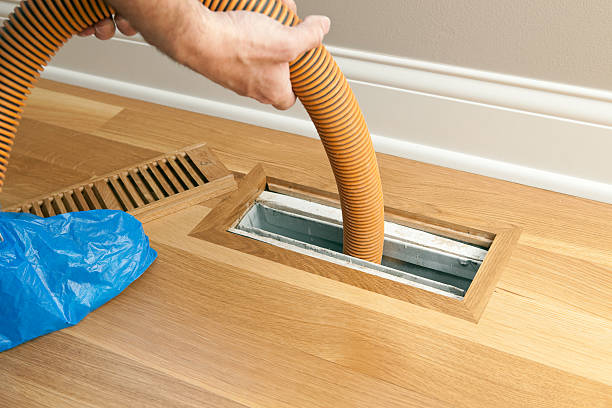 Best Affordable Air Duct Cleaning  in Mmaduke, AR