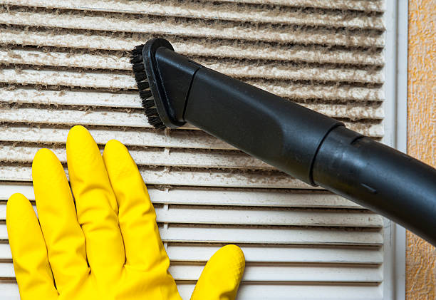 Best Professional Duct Cleaning Services  in Mmaduke, AR
